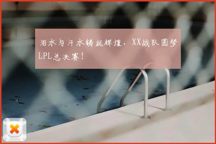 泪水与汗水铸就辉煌，XX战队圆梦LPL总决赛！