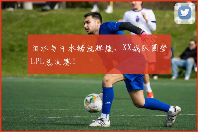 泪水与汗水铸就辉煌,XX战队圆梦LPL总决赛!