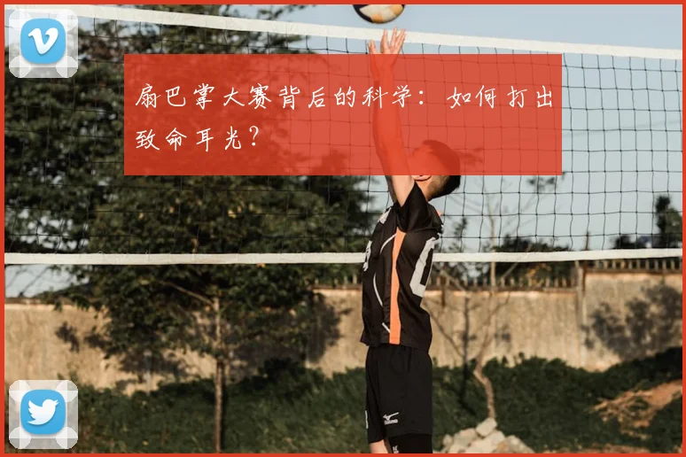 扇巴掌大赛背后的科学：如何打出致命耳光？