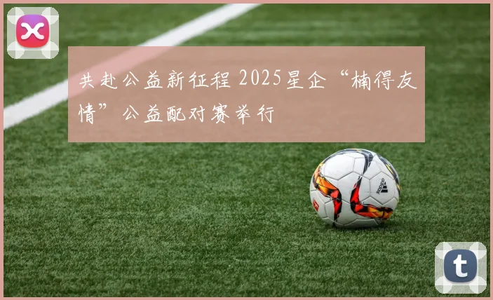 共赴公益新征程 2025星企“楠得友情”公益配对赛举行