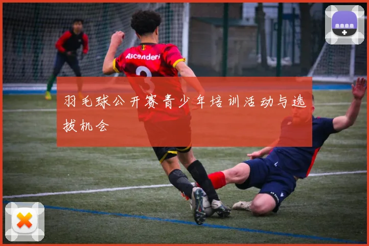 羽毛球公开赛青少年培训活动与选拔机会