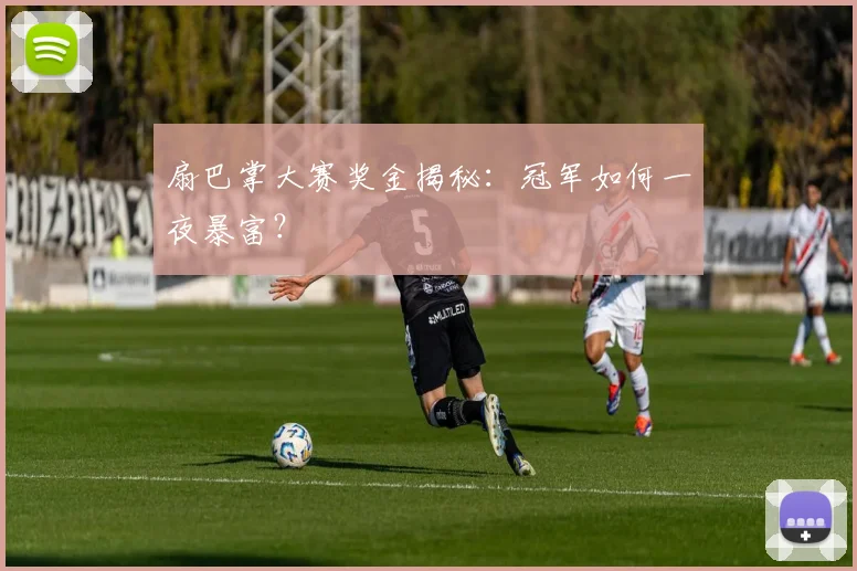 扇巴掌大赛奖金揭秘：冠军如何一夜暴富？