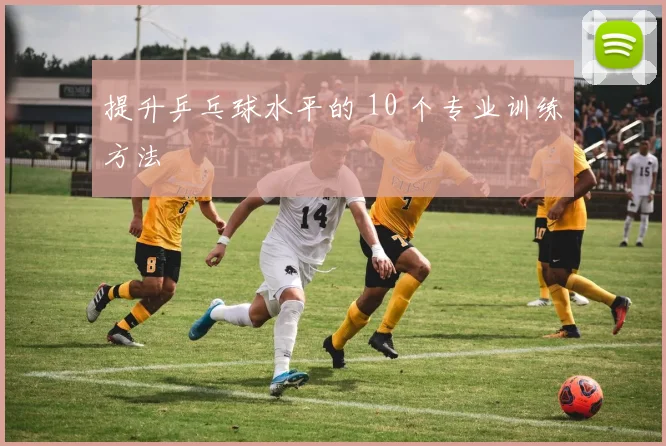 提升乒乓球水平的 10 个专业训练方法