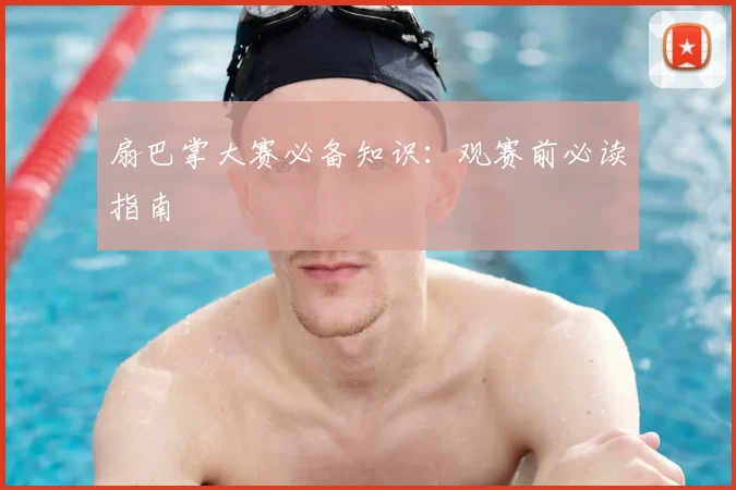 扇巴掌大赛必备知识：观赛前必读指南