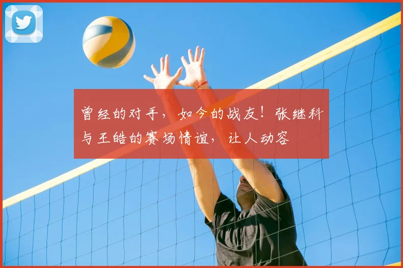 曾经的对手，如今的战友！张继科与王皓的赛场情谊，让人动容