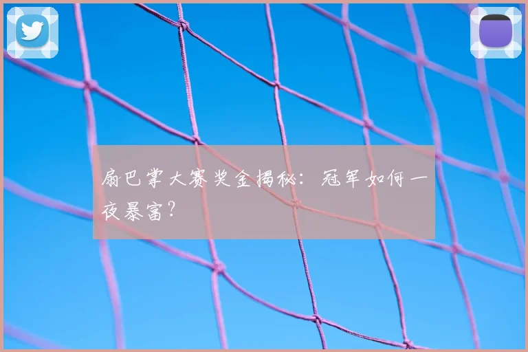 扇巴掌大赛奖金揭秘：冠军如何一夜暴富？